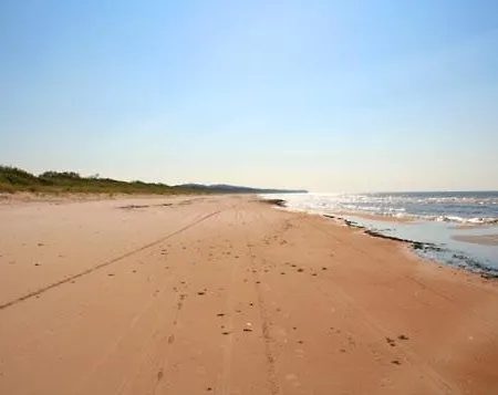 Baltic Pine Apartment Jurmala
